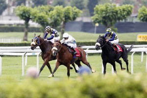 caduta da cavallo e risarcimento danni