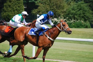 La responsabilità del cavaliere e del proprietario per il doping del cavallo