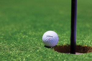 squalifica temporanea dal gioco del golf